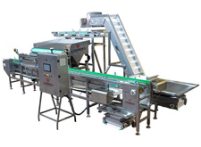 Sarsaklı Dolum Makinesi 2